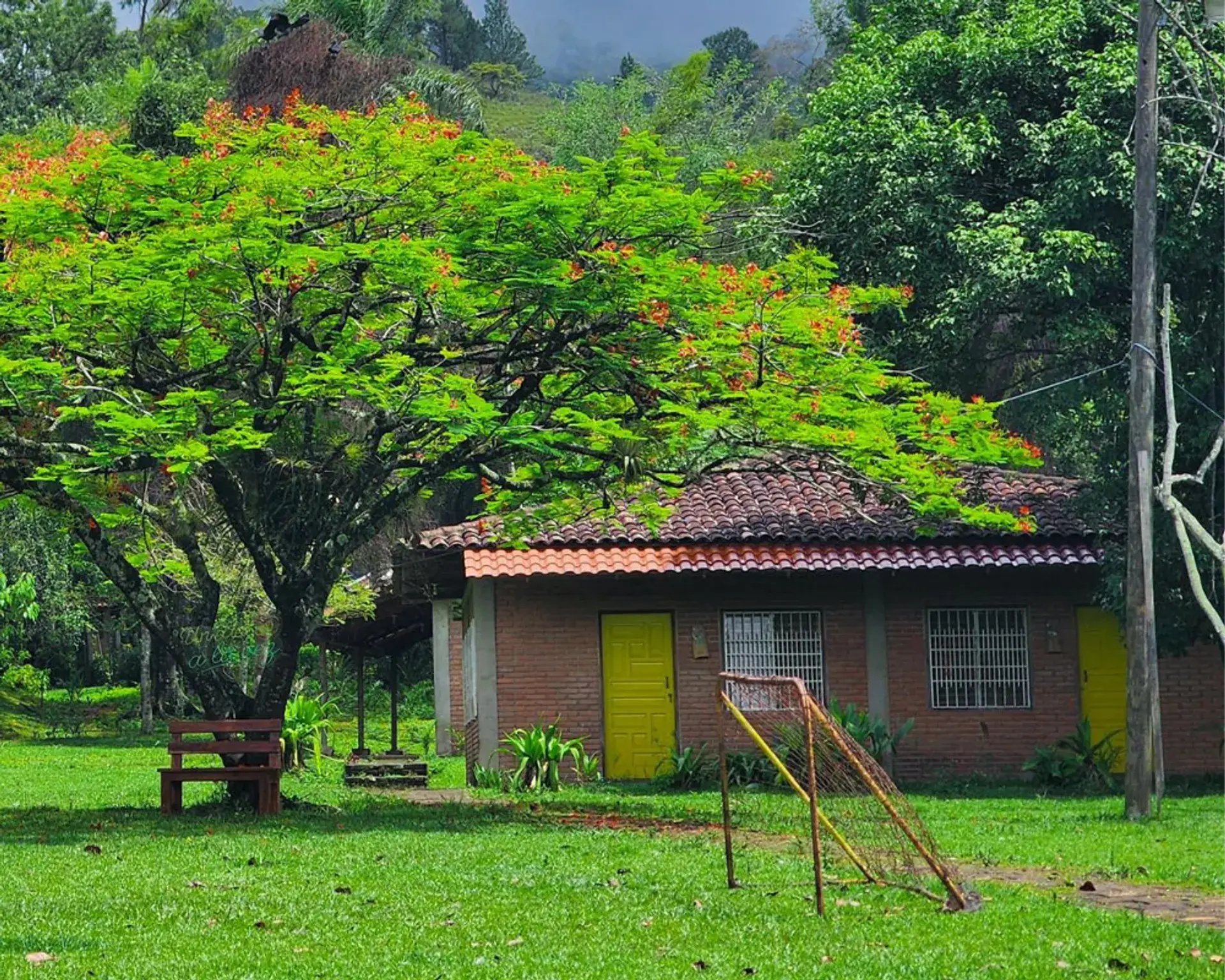 Vista exterior de Hotel El Pantano rodeado de vegetación