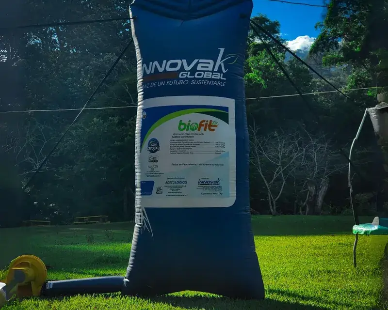 Montaje para el lanzamiento de un producto