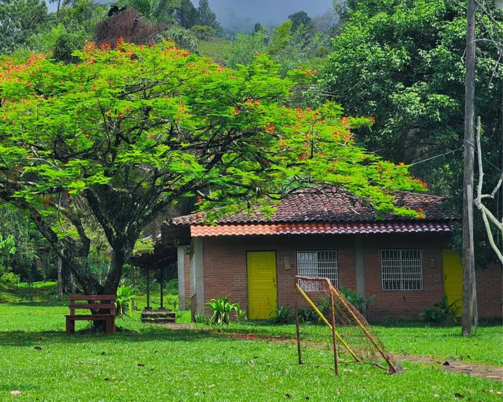 Vista panorámica de las habitaciones rodeadas de naturaleza en Hotel El Pantano, un hotel familiar en Jalapa.